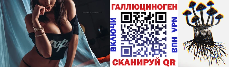 Купить  Любань  Псилоцибиновые грибы GOLDEN TEACHER 